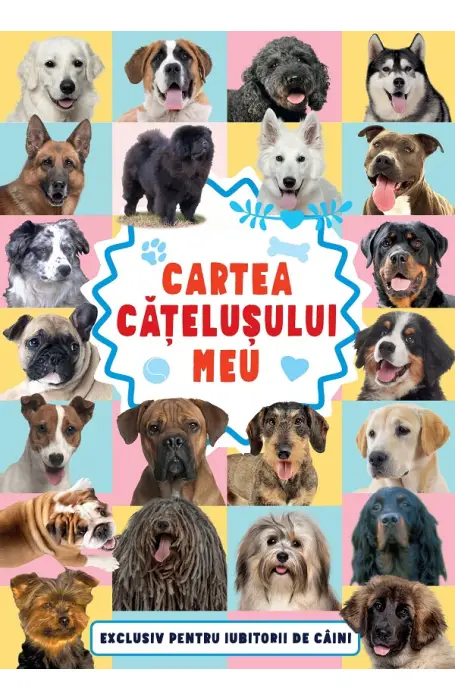 CARTEA CATELUSULUI MEU KREATIV