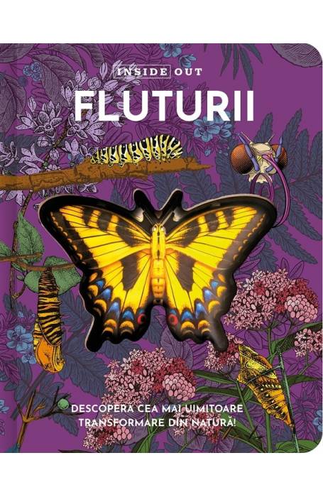 FLUTURII INSIDE OUT