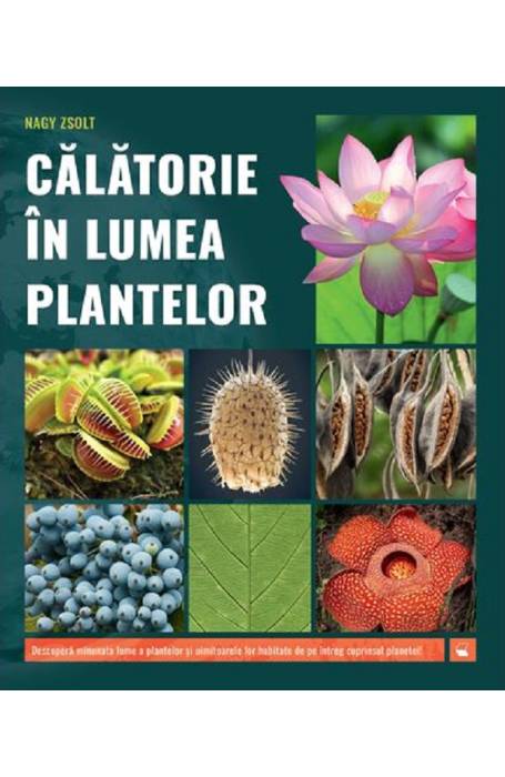 CALATORIE IN LUMEA PLANTELOR KREATIV