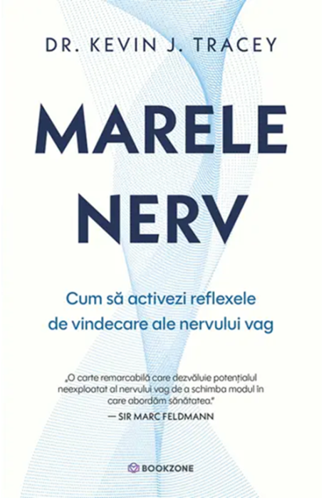 MARELE NERV MARELE NERV