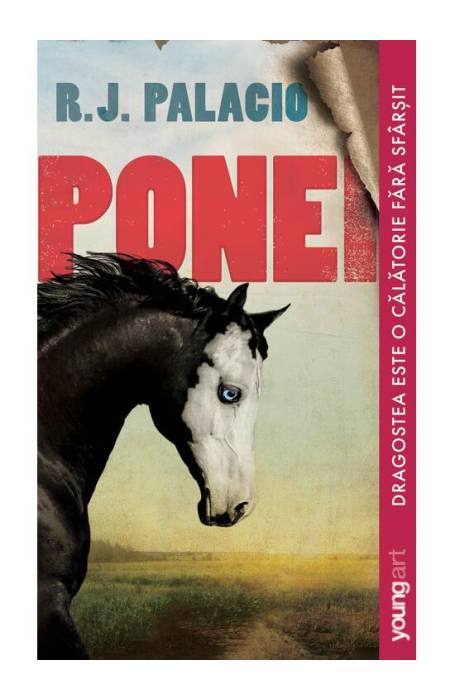 PONEI PB YOUNGART