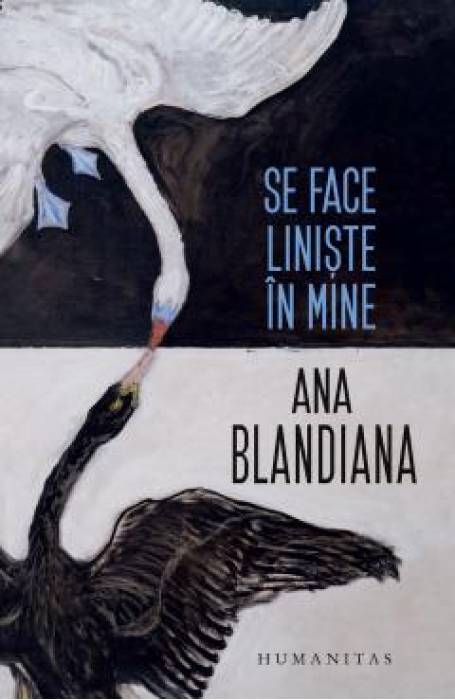 SE FACE LINISTE IN MINE