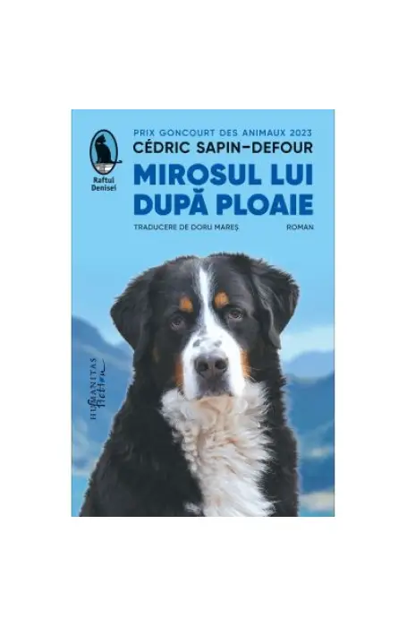 MIROSUL LUI DUPA PLOAIE