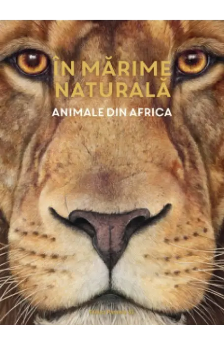IN MARIME NATURALA - ANIMALE DIN AFRICA P45