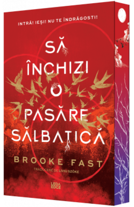 ENDLOCK 1 SA INCHIZI O PASARE SALBATICA ENDLOCK 1 SA INCHIZI O PASARE SALBATICA