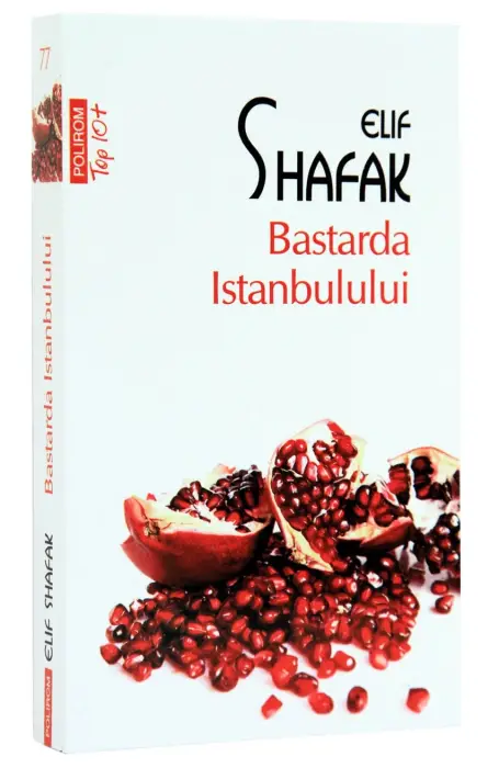 BASTARDA ISTANBULULUI TOP 10+ NR.77