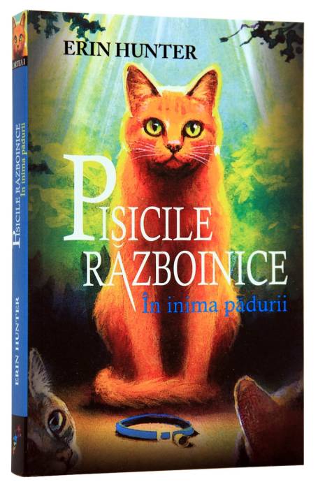 PISICILE RAZBOINICE 1 IN INIMA PADURII