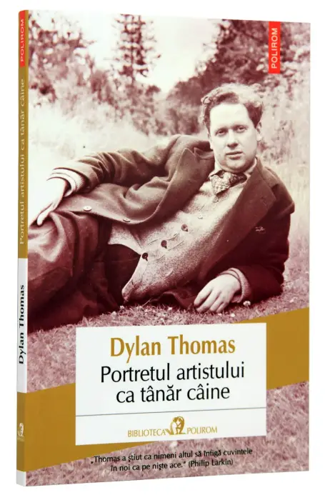 PORTRETUL ARTISTULUI CA TANAR CAINE