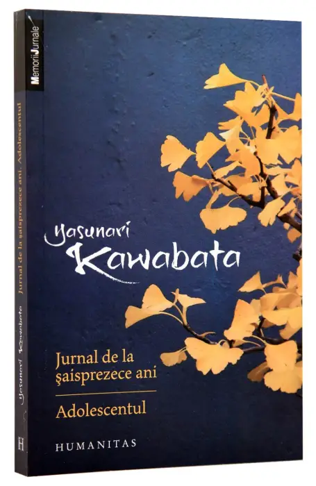JURNAL DE LA SAISPREZECE ANI. ADOLESCENTUL