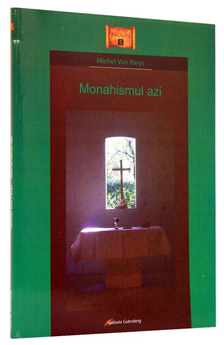 MONAHISMUL AZI