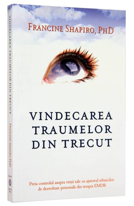 VINDECAREA TRAUMELOR DIN TRECUT