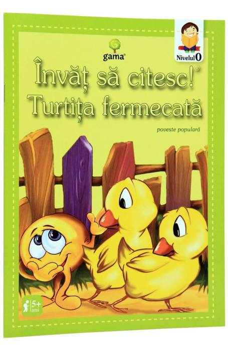 TURTITA FERMECATA ISC. 0