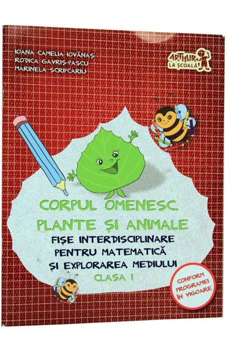 FISE INTERDISCIPLINARE 1 CORPUL OMENESC ART