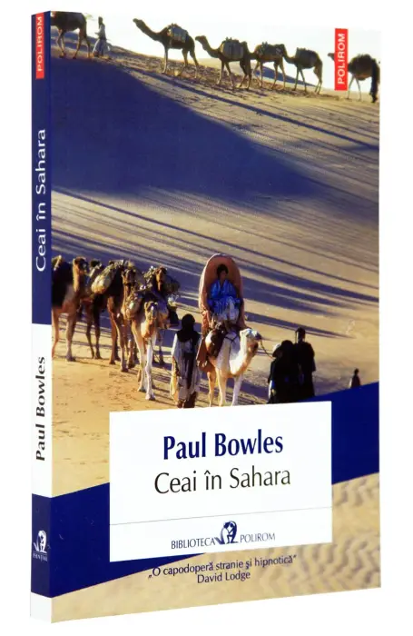 CEAI IN SAHARA