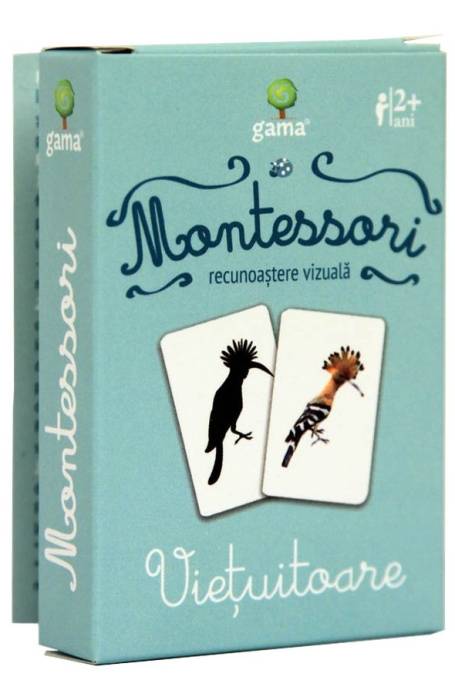 VIETUITOARELE. RECUNOASTERE VIZUALA CJED MONTESSORI