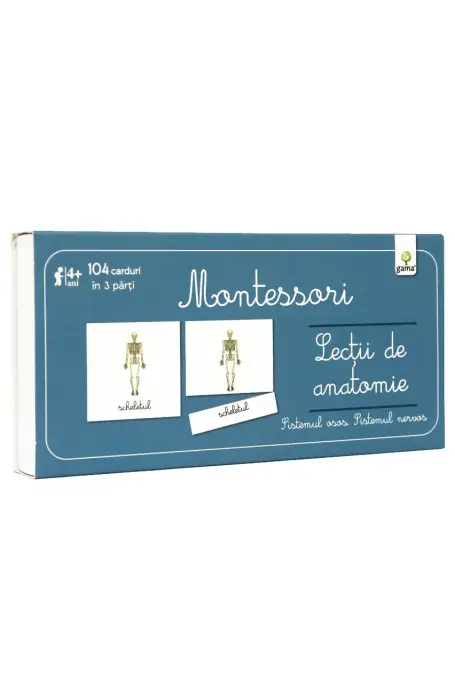 LECTII DE ANATOMIE. SISTEMUL OSOS SI NERVOS MONTESSORI