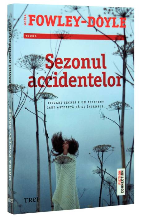 SEZONUL ACCIDENTELOR