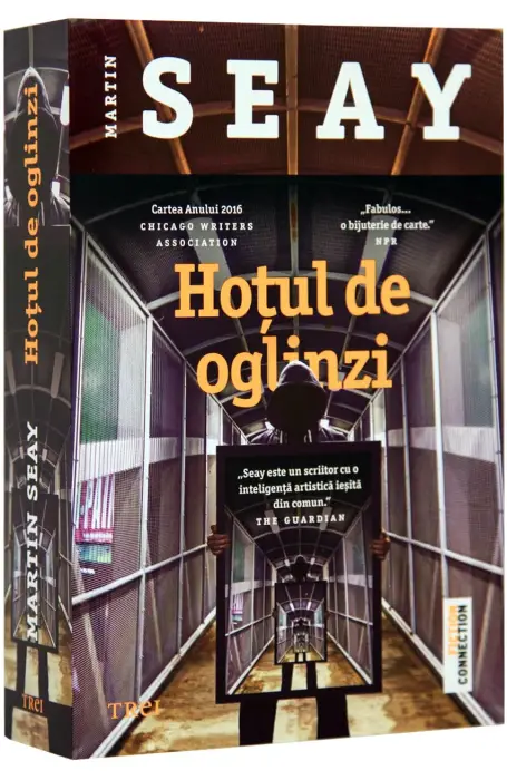 HOTUL DE OGLINZI