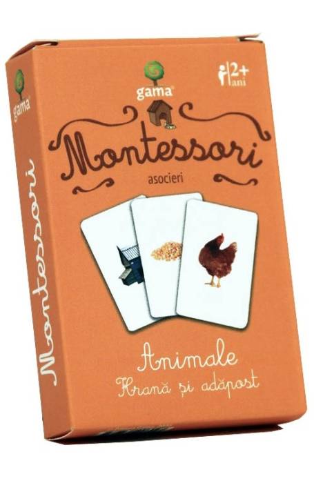 HRANA SI ADAPOST VOCABULAR CJ MONTESSORI