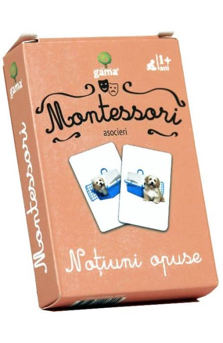 NOTIUNI OPUSE CJ MONTESSORI