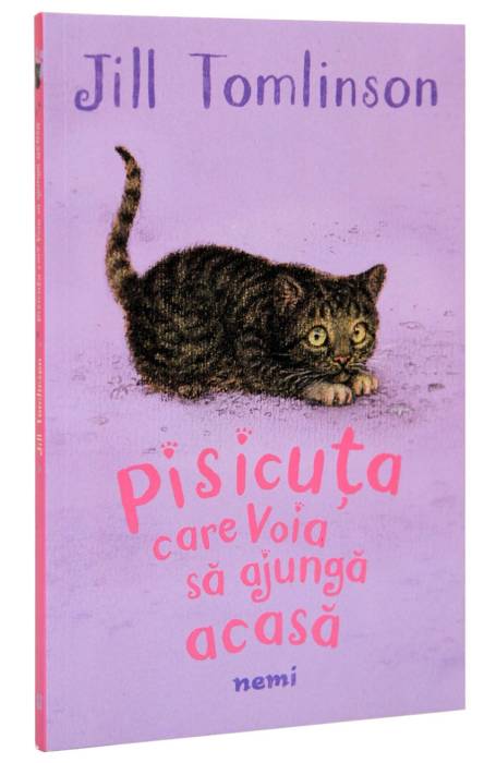 PISICUTA CARE VOIA SA AJUNGA ACASA