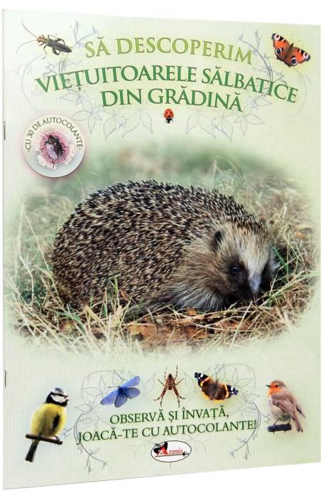SA DESCOPERIM VIETUITOARELE SALBATICE DIN GRADINA