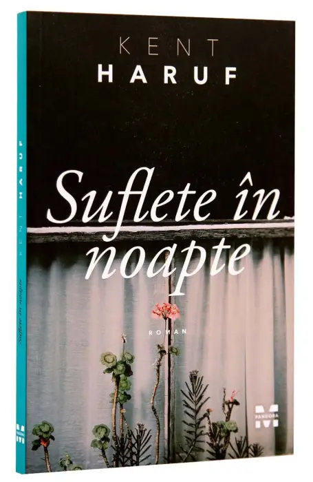 SUFLETE IN NOAPTE