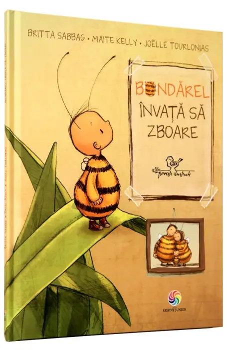 BONDAREL INVATA SA ZBOARE
