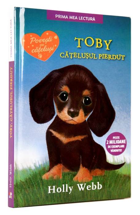 TOBY CATELUSUL PIERDUT