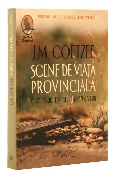 SCENE DIN VIATA PROVINCIALA