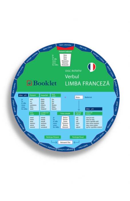 DISCHETA VERBELOR LB FRANCEZA