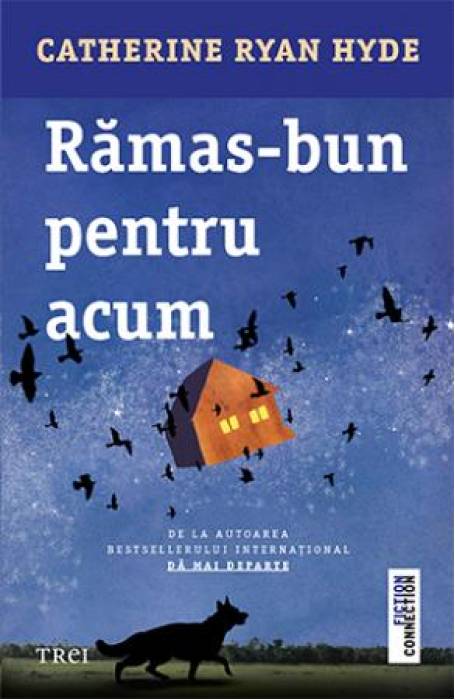 RAMAS- BUN PENTRU ACUM