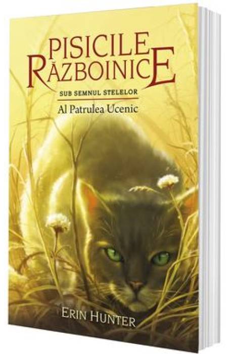 PISICILE RAZBOINICE VOL 19 SUB SEMNUL STELELOR - AL PATRULEA UCENIC