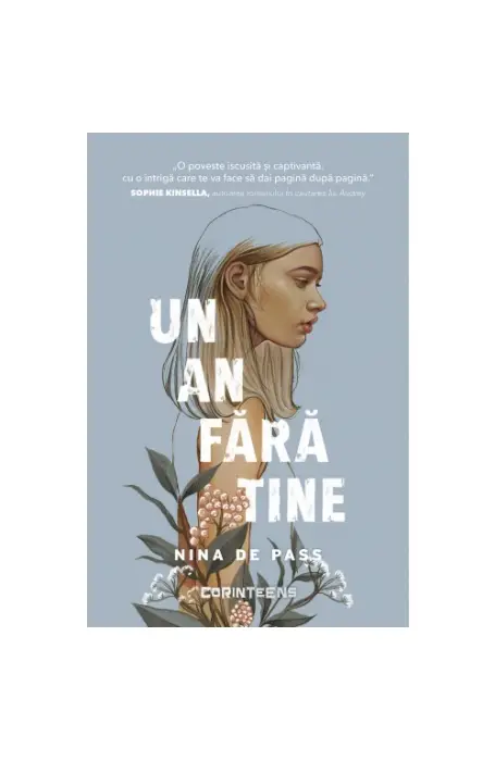 UN AN FARA TINE