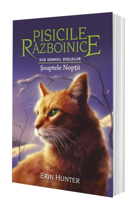 PISICILE RAZBOINICE 21 SUB SEMNUL STELELOR SOAPTELE NOPTII