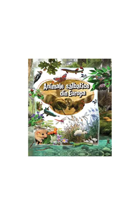 ANIMALE SALBATICE DIN EUROPA KREATIV