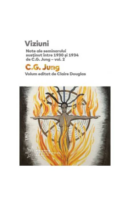 VIZIUNI VOL 2