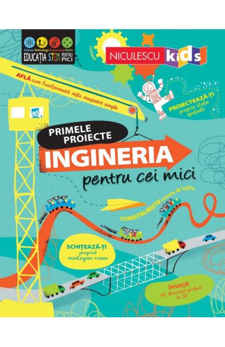 PRIMELE PROIECTE INGINERIA PENTRU CEI MICI