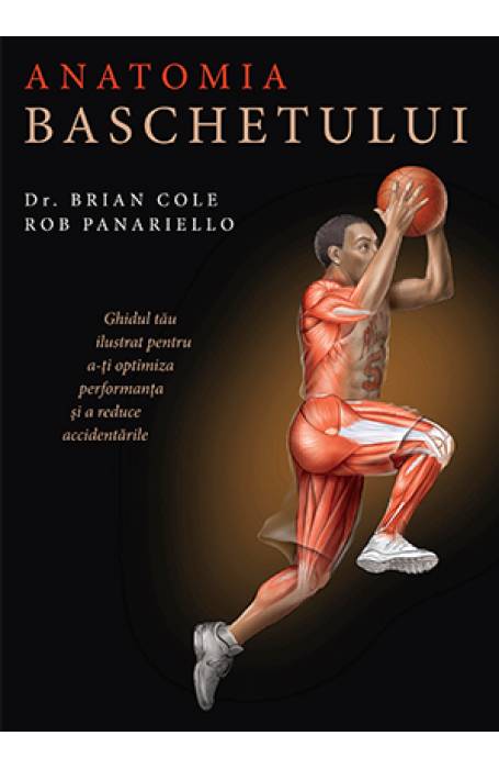 ANATOMIA BASCHETULUI