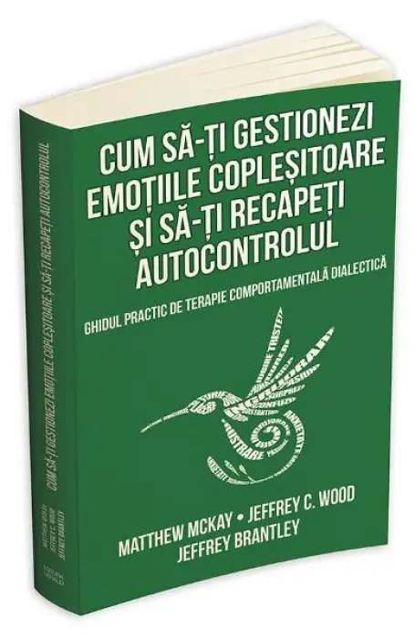 CUM SA-TI GESTIONEZI EMOTIILE COPLESITOARE SI SA-TI RECAPETI AUTOCONTROLUL