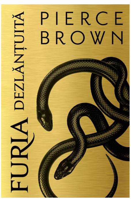 FURIA DEZLANTUITA VOL 5 FURIA ROSIE PALADIN