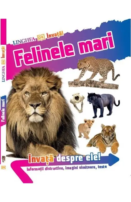 INVATA! FELINELE MARI