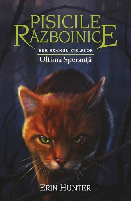PISICILE RAZBOINICE 24 SUB SEMNUL STELELOR ULTIMA SPERANTA