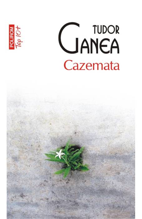 CAZEMATA TOP 10+ NR 471