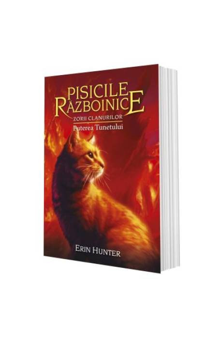 PISICILE RAZBOINICE 26 ZORII CLANURILOR PUTEREA TUNETULUI