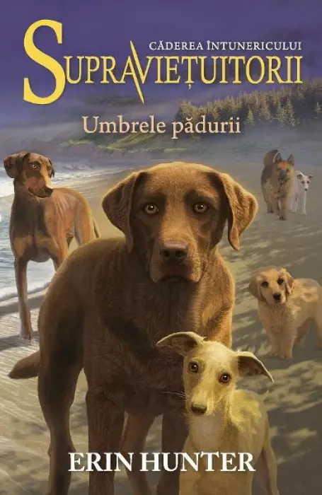 SUPRAVIETUITORII 9 UMBRELE PADURII