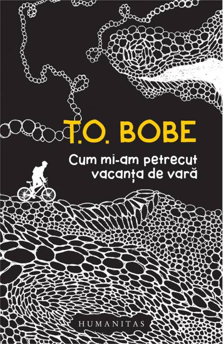 CUM MI-AM PETRECUT VACANTA DE VARA