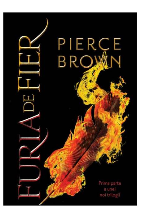 FURIA DE FIER #4 PALADIN