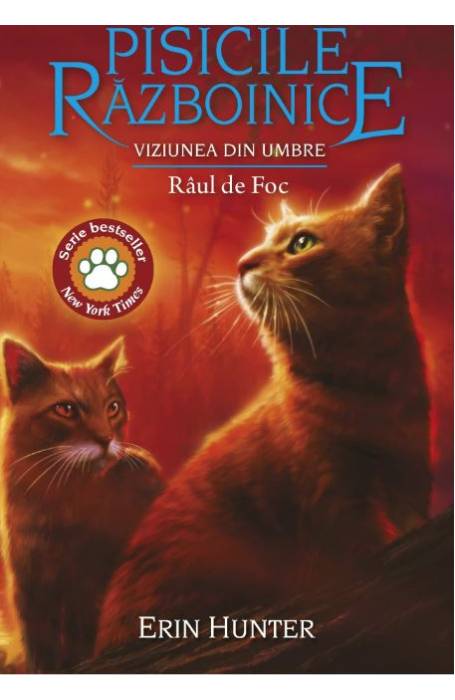 PISICILE RAZBOINICE 35 VIZIUNEA DIN UMBRE RAUL DE FOC