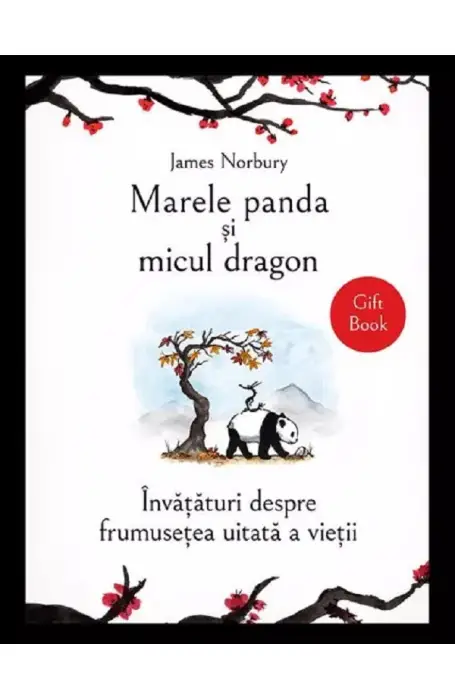 MARELE PANDA SI MICUL DRAGON